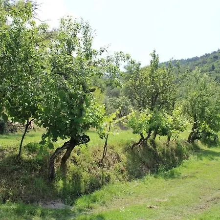 Casa Dell Ulivo Apartment *